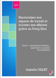 Harmoniser son espace de travail et booster ses affaires grace au Feng Shui Tome 1 avec Isabelle GILLET