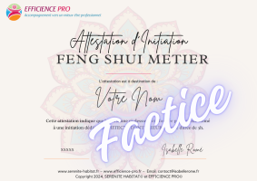 EFFICIENCE PRO Initiation Feng Shui attestation