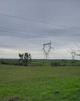 EFFICIENCE PRO Lignes THT sur vignobles